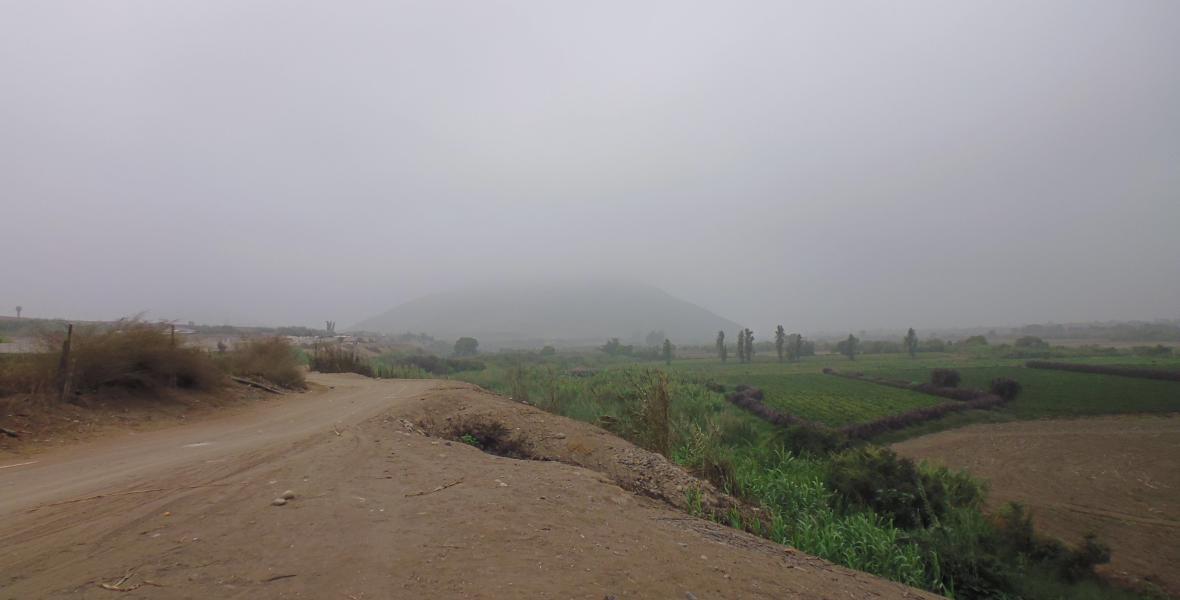 Terrenos Agricolas Venta Fundo Santa Monica - CHANCAY